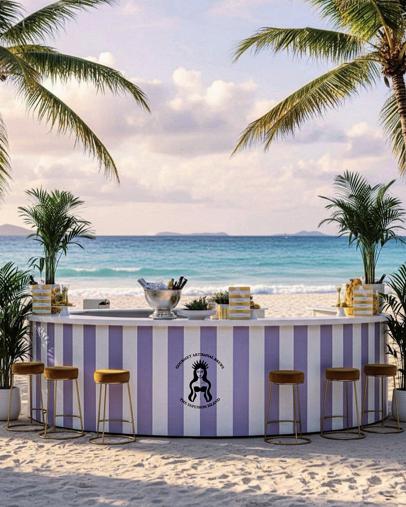 About Infusion Island